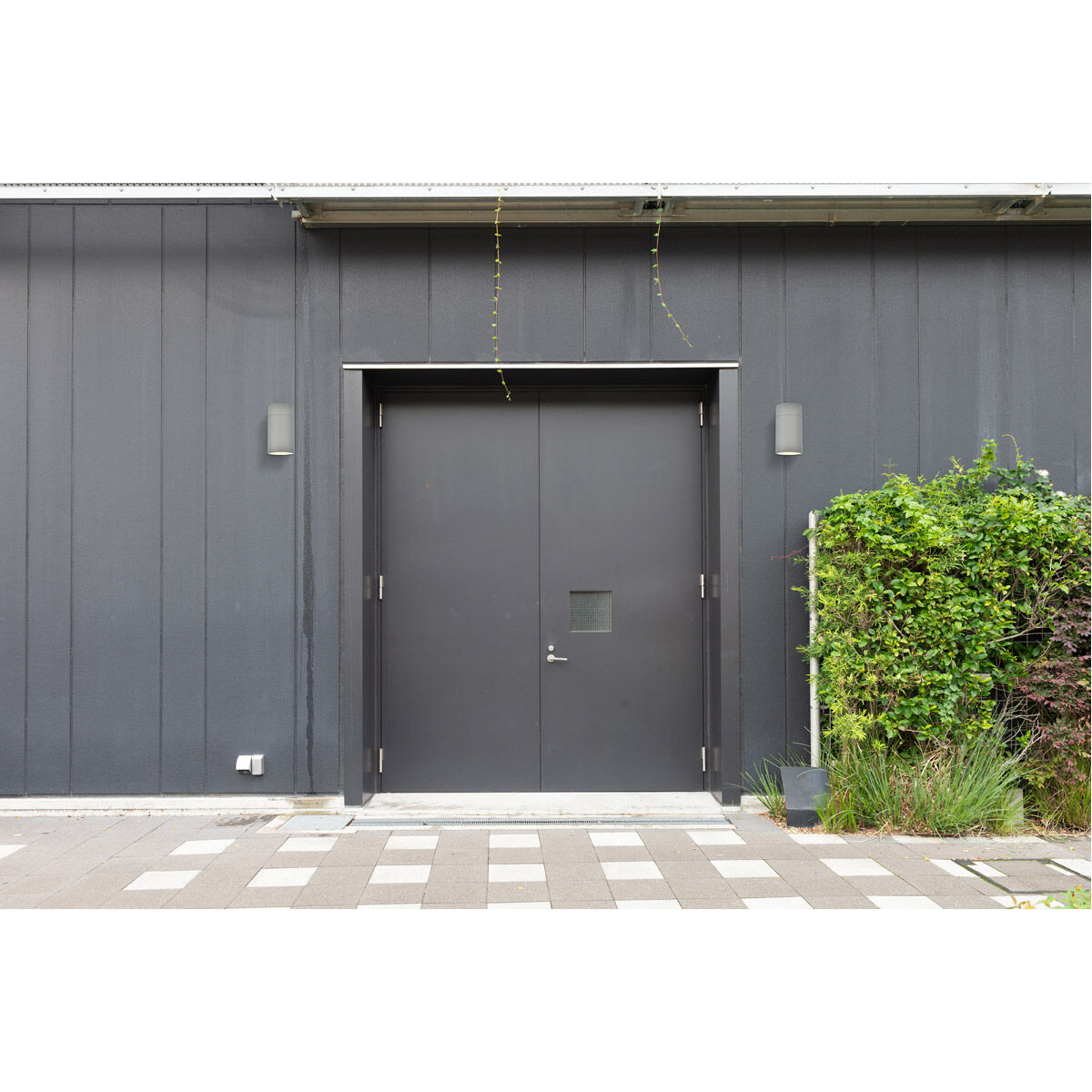 Raine 1 Light 8 inch Silver Outdoor Wall Light