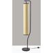 Lyons 61 inch 40.00 watt Black Floor Lamp Portable Light