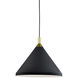 Dorothy 1 Light 14 inch Black With Gold Detail Pendant Ceiling Light