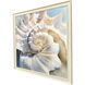 Center Shell Blue and Beige and Turquoise Framed Art
