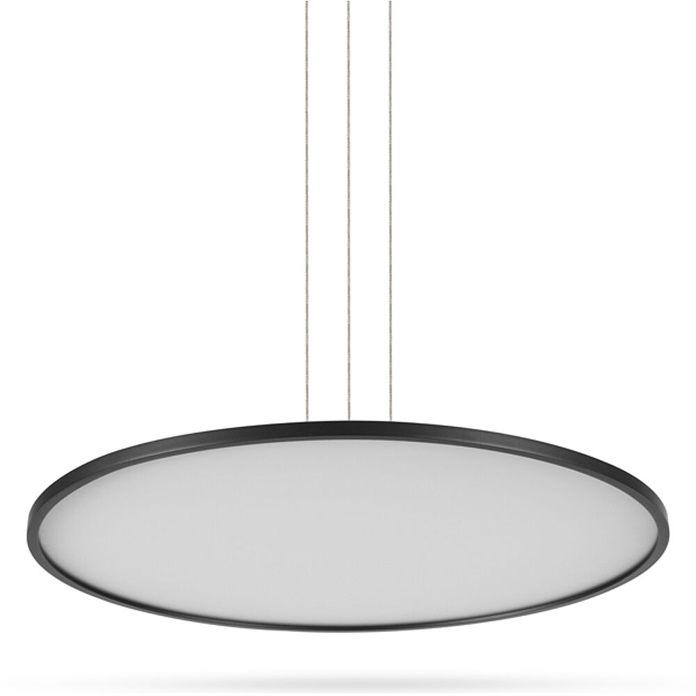 Salm 24 inch Black Pendant/Chandelier Ceiling Light
