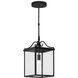 Giatti 1 Light 12.38 inch Midnight Outdoor Hanging Lantern, Small
