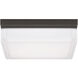 Sean Lavin Boxie LED 9 inch Antique Bronze Flush Mount Ceiling Light in LED 3000K 120V, Integrated LED
