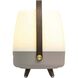 Lite Up Play 15.75 X 11.4 inch Earth Light Brown Taupe Portable Speaker Lamp in Earth Light Brown/Taupe, Kooduu
