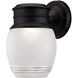 EnviroLite Outdoor Wall Lantern