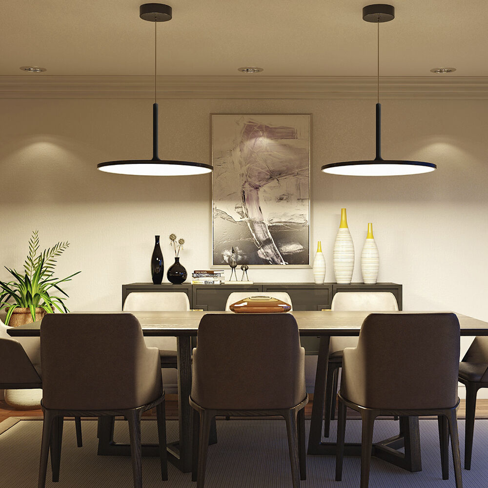 Salm 24 inch Black Pendant/Chandelier Ceiling Light