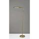 Zane 56.5 inch 10.00 watt Antique Brass Floor Lamp Portable Light, with Smart Switch