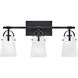 Foster 3 Light 22.75 inch Black Bath Light Wall Light in Etched Opal