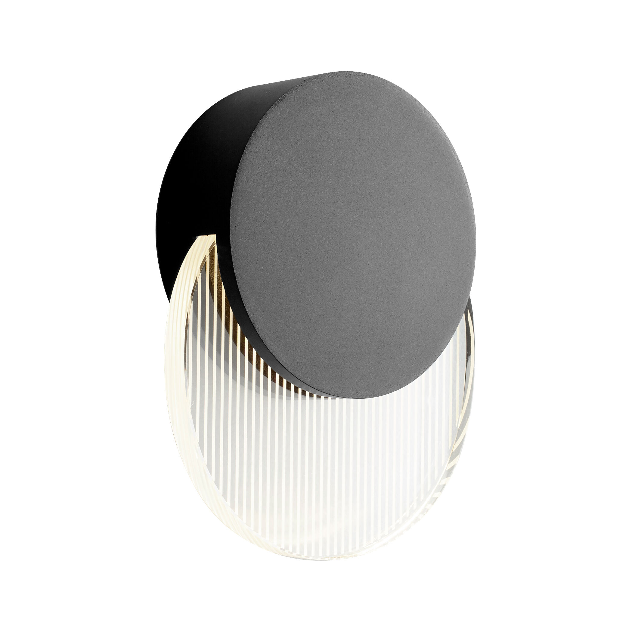 Pavo 1 Light 8 inch Black Outdoor Wall Sconce