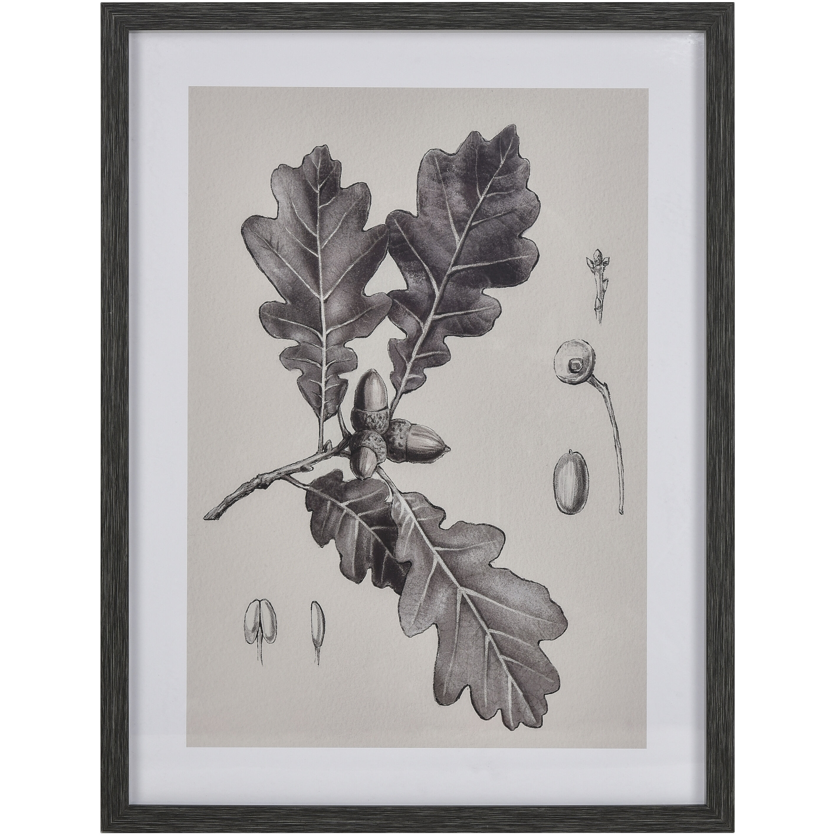 Foliage I Ivory Framed Wall Art, Botanic