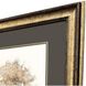 Way of Nature Brown and Black Framed Art, Propac