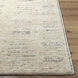 Davey 36 X 24 inch Desert Tan / Khaki Handmade Rug in 2 x 3