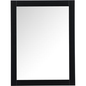 Aqua 36 X 27 inch Black Vanity Mirror