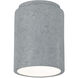 Radiance 1 Light 6.5 inch Concrete Outdoor Flush Mount in Incandescent