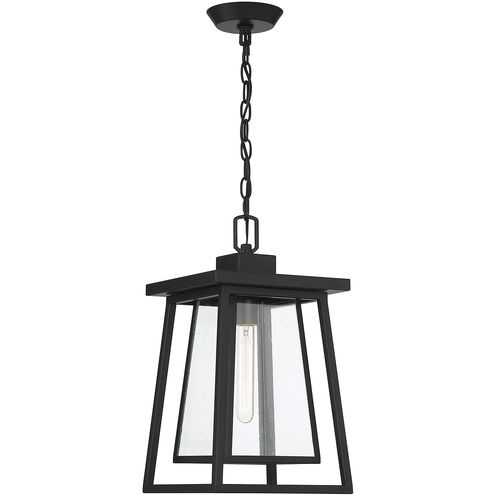 Denver 1 Light 8 inch Matte Black Outdoor Hanging Lantern