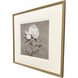 Pretty as a Peony Beige and Brown and Neutral Framed Art