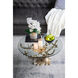 Anita 10 X 5 inch Bowl, Set of 2
