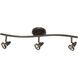 Serpentine 3 Light Rust Rail Fixture Ceiling Light
