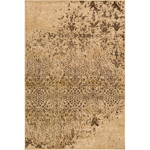 Paramount 36 X 24 inch Brown and Neutral Area Rug, Polypropylene