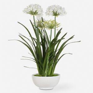 Purity Agapanthus Green and White Centerpiece
