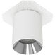 Zoron LED 3.63 inch White and Chrome Outdoor Ceiling Lighting in White/Chrome