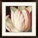 Secret Garden II Red and Pink and Brown and Beige Framed Art, Propac