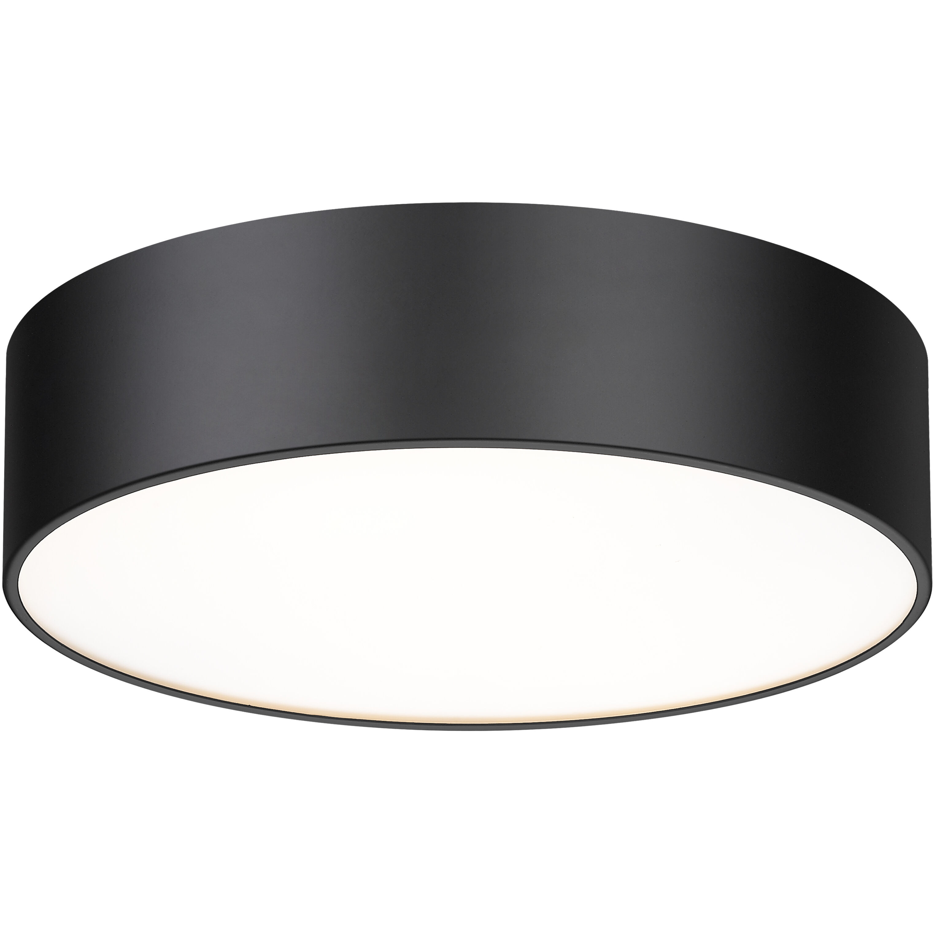 Harley 4 Light 20 inch Matte Black Flush Mount Ceiling Light