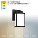 Lantern LED 10 inch Black Outdoor Wall Light