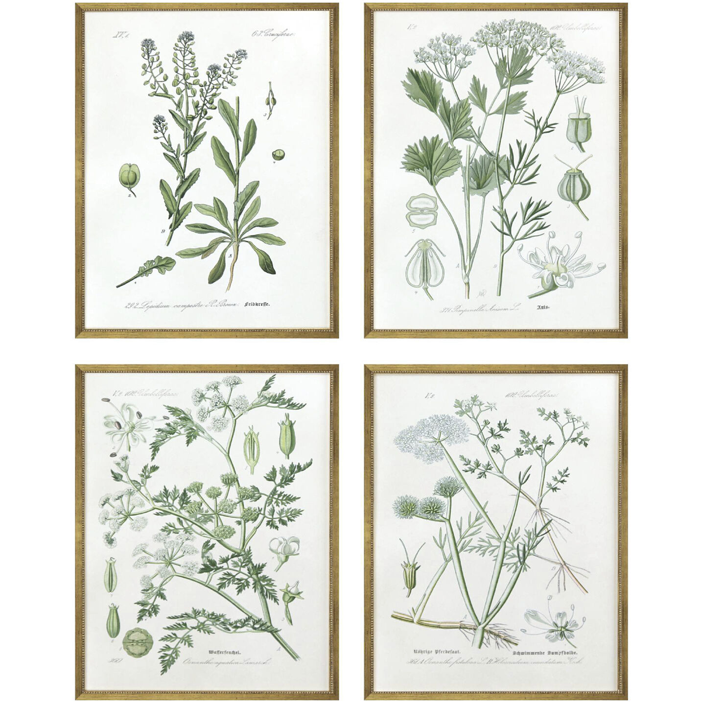 Florals Green and Beige Framed Art