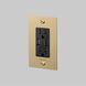 1G Duplex 125 Brass Outlet, USB A + C