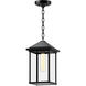 Alora Mood Larchmont 1 Light 7.88 inch Clear Glass/Textured Black Exterior Pendant