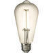 Branded Lamps LED ST19 - ST19 M - E-26 Medium 7.50 watt 120 2700K Light Bulb