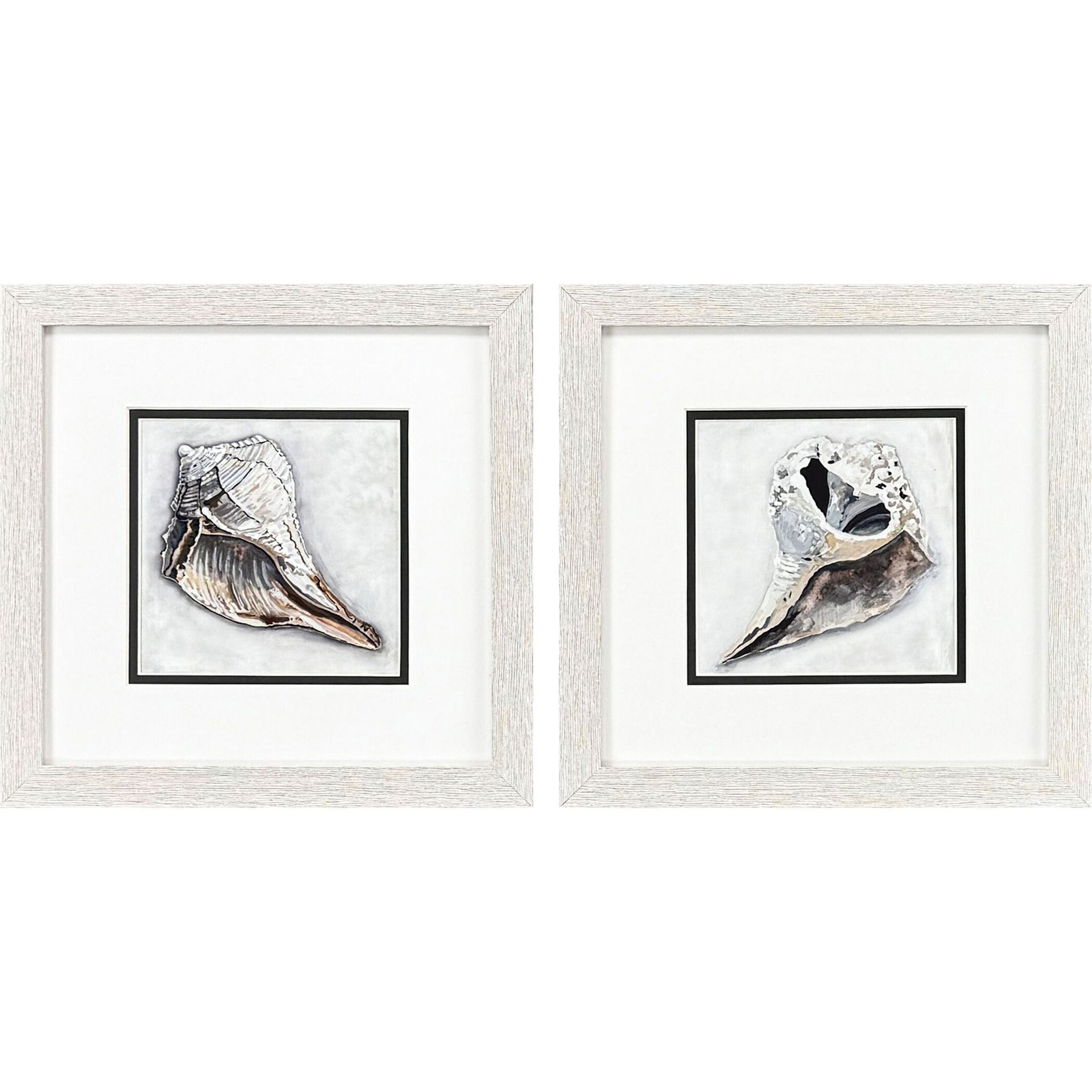 Ocean Treasure Brown and Blue and Gray and Green Framed Art, Propac