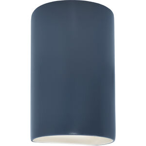 Ambiance 1 Light 9.5 inch Midnight Sky Outdoor Wall Sconce