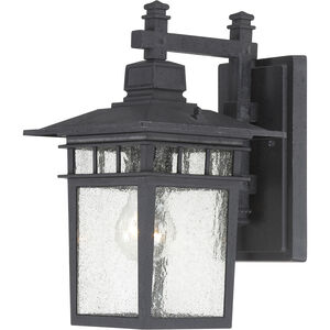 Cove Neck 1 Light 12 inch Textured Black Outdoor Wall Lantern