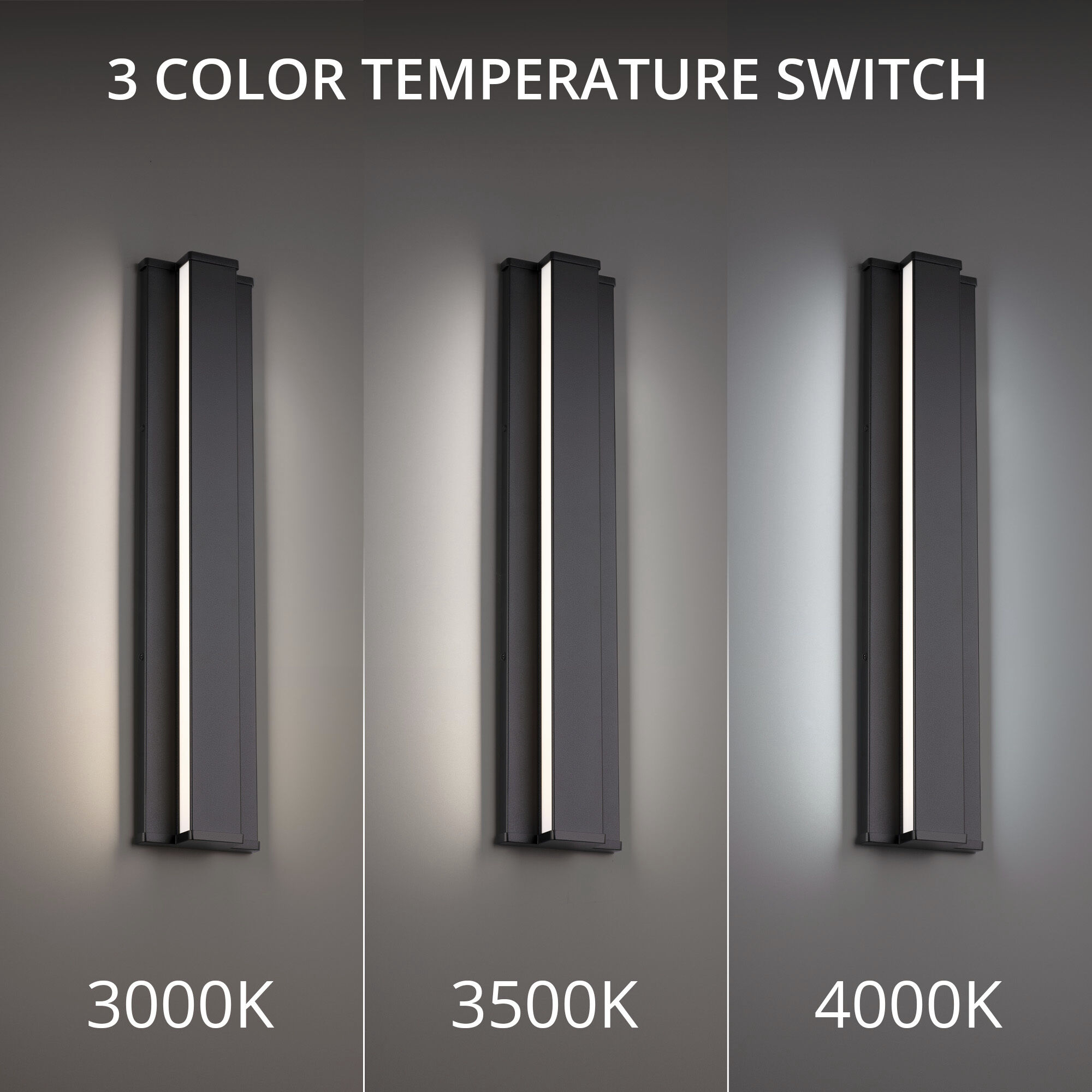 Revels LED 24 inch Black Outdoor Wall Light in 3500K, dweLED