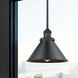 Franklin Restoration Briarcliff 1 Light 10 inch Matte Black Mini Pendant Ceiling Light in Incandescent, Franklin Restoration