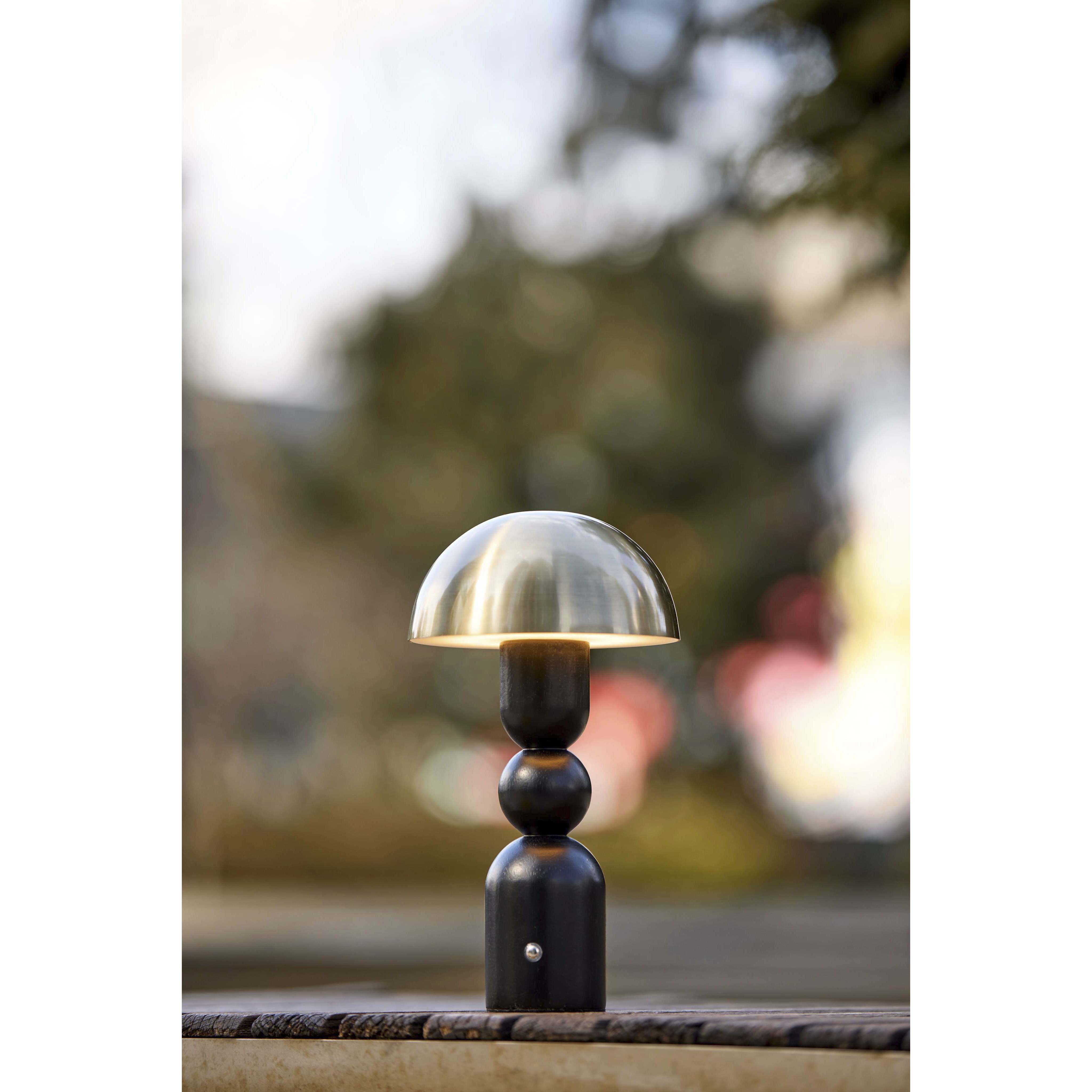 Connie 10.75 inch 2.00 watt Black and Antique Brass Cordless Table Lamp Portable Light