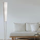 Emotions 61 inch 60.00 watt Satin Chrome Decorative Floor Lamp Portable Light