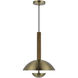 Lakeland LED 12 inch Antique Brass and Wood Pendant Ceiling Light