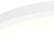 Delta 1 Light 24 inch White Flushmount Ceiling Light
