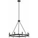 Cambrai 9 Light 28 inch Ebony Chandelier Ceiling Light