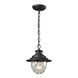 Labette 1 Light 8 inch Weathered Charcoal Outdoor Pendant
