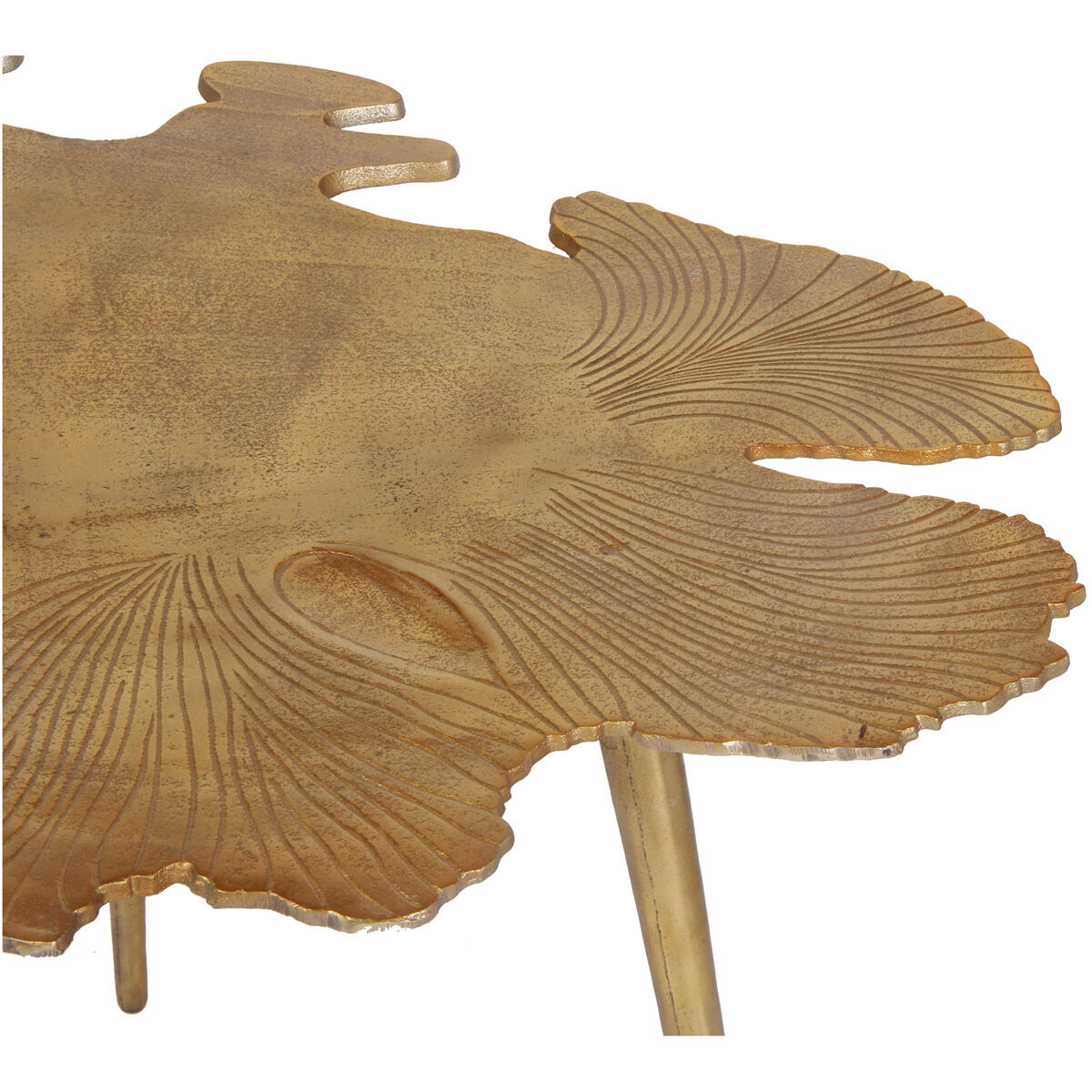 Amoeba 28 X 24 inch Gold Side Table