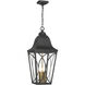 Cardigan 3 Light 11 inch Sand Coal and Olden Brass Outdoor Pendant, Great Outdoors