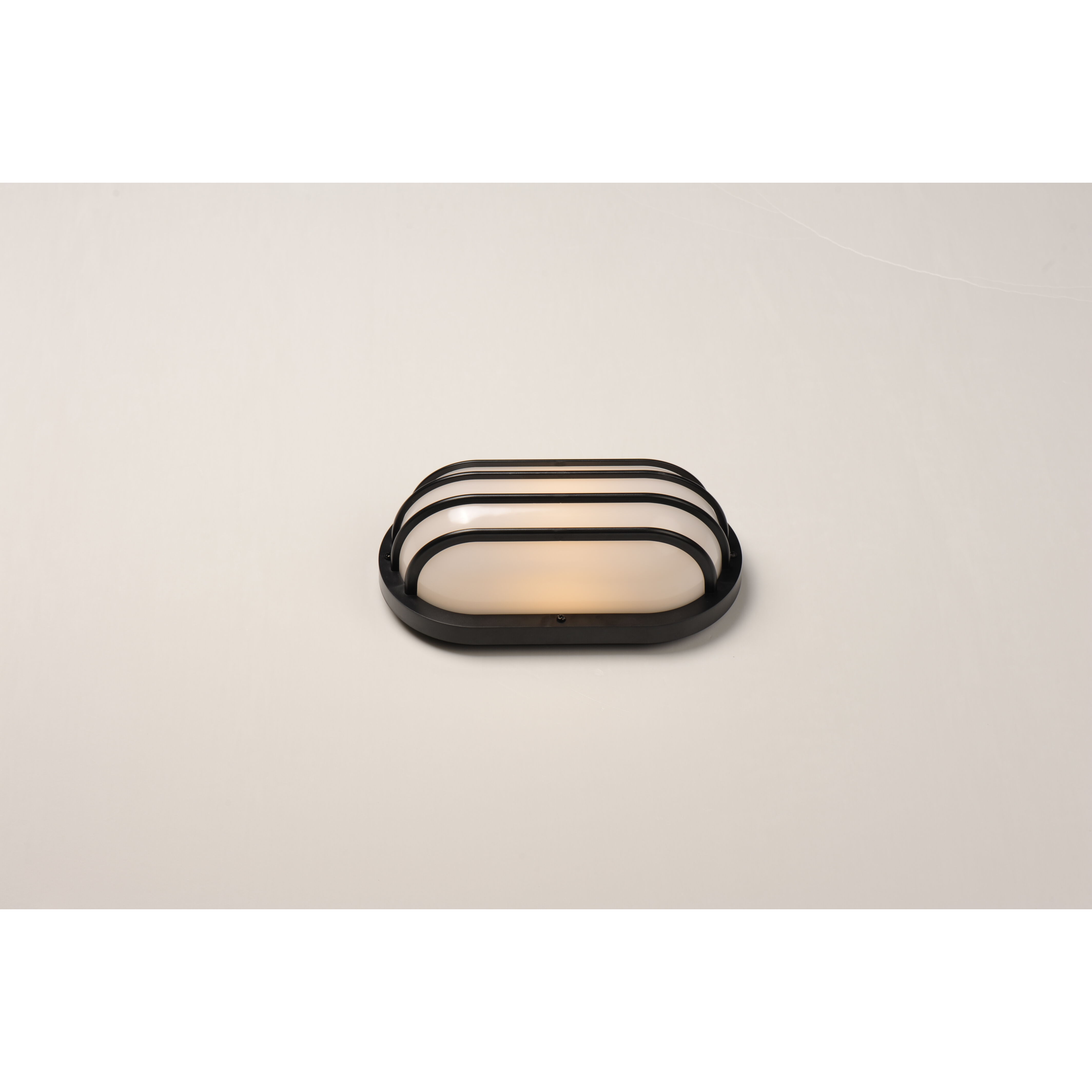 Bulwark LED 6 inch Black Outdoor Wall Mount