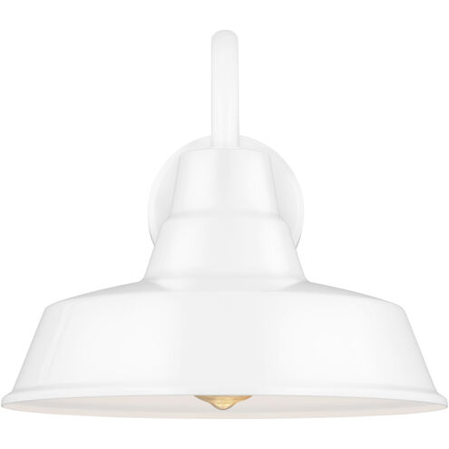 Sean Lavin Barn Light Outdoor Wall Lantern in White