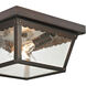 Springfield 2 Light 10 inch Hazelnut Bronze Outdoor Flush Mount