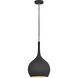 Ziggy 1 Light 12 inch Black with Polished Nickel Indoor Pendant Ceiling Light