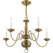 Williamsburgh 5 Light 24 inch Antique Brass Chandelier Ceiling Light